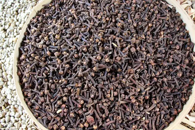 Fish Maw de Primera Calidad para exportación – calidad comercial
