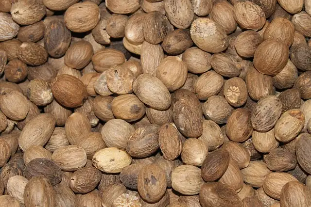 Pollo Deshidratado (Pechuga / Tiras) para exportación – calidad comercial