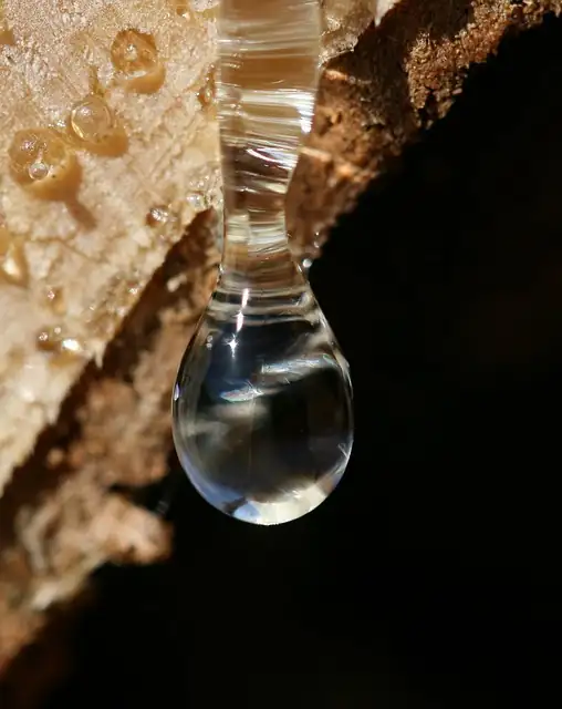 Resina de agar: vista de producto