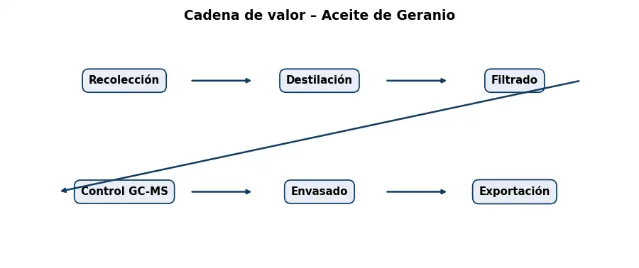 Esquema: cadena de valor en el sector Aceites