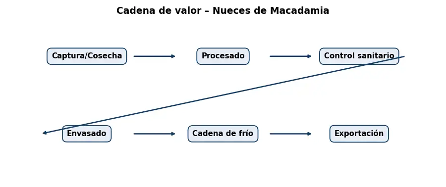 Esquema: cadena de valor en el sector Alimentacion