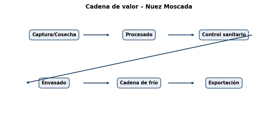 Esquema: cadena de valor en el sector Alimentacion