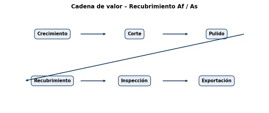 Esquema: cadena de valor en el sector Optica