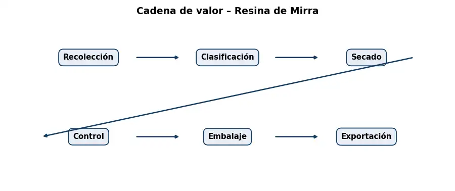 Esquema: cadena de valor en el sector Resinas y Maderas