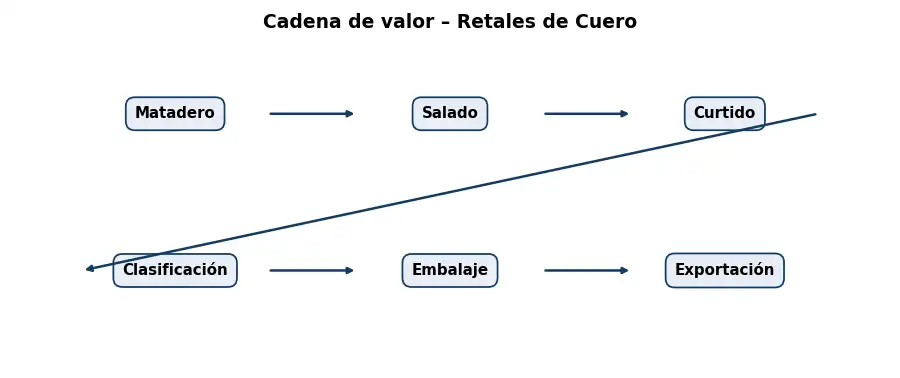 Esquema: cadena de valor en el sector Cueros y Pieles
