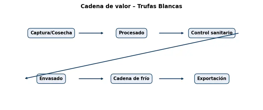 Esquema: cadena de valor en el sector Alimentacion